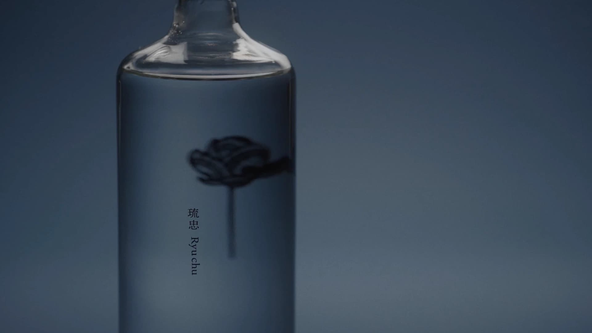 IKIGAI YUI Spirits｜Ryubo